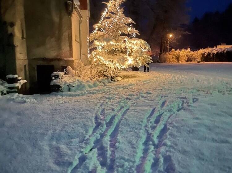 ホテル Pałac Myśliwski Orle Solutions