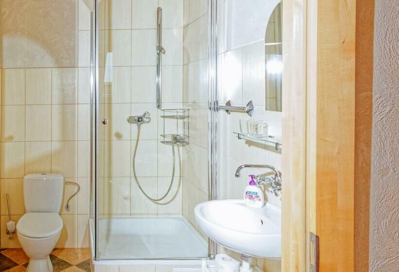 ホテル Pałac Pensjonat Ptaszynka