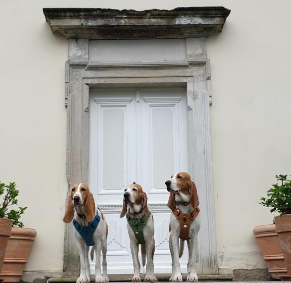 فندق Pałac Nakomiady