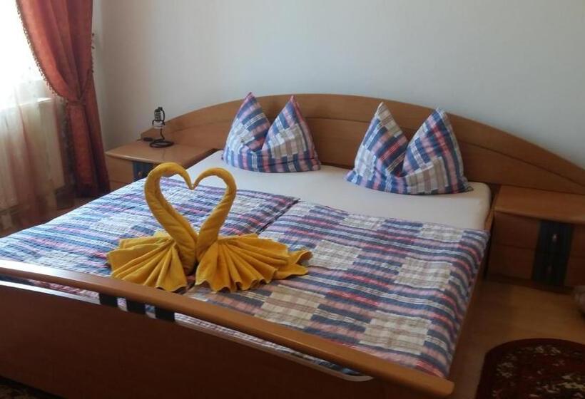 Отель Pensiunea Claudiu