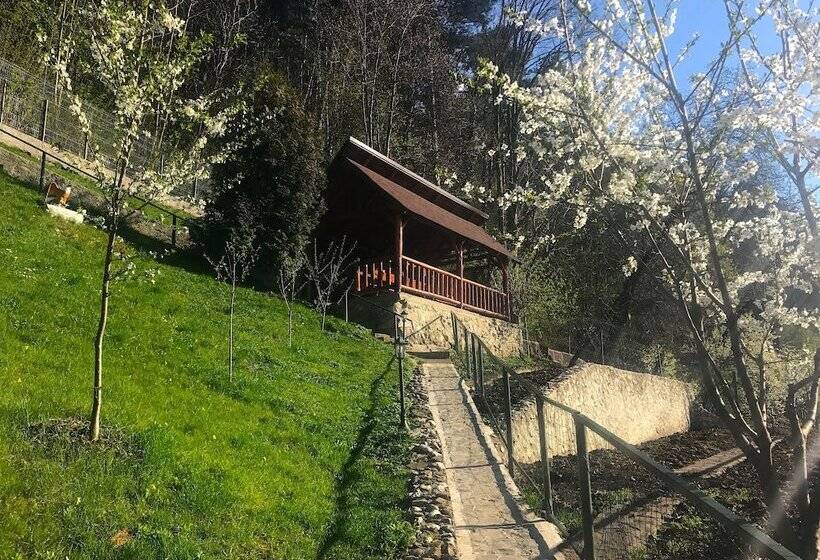 酒店 Pensiunea Cristina & Spa