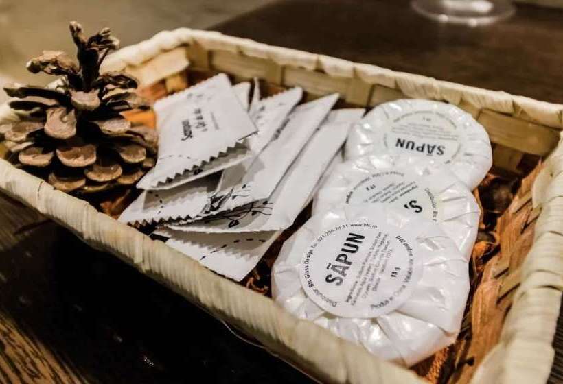 酒店 Pensiunea Cristina & Spa