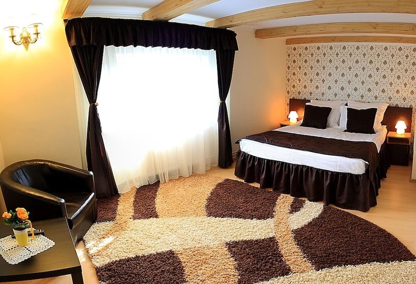 酒店 Pensiunea Cristina & Spa