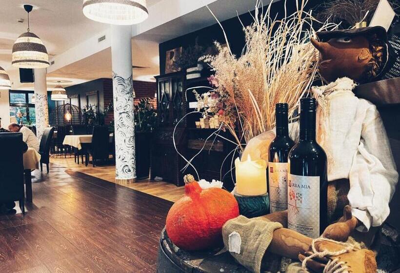 هتل Pensjonat Pod Jemiołą