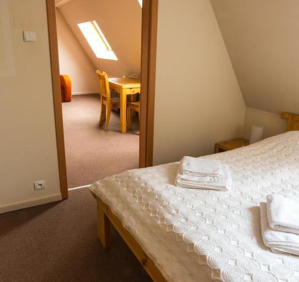 酒店 Pensjonat Reymontówka