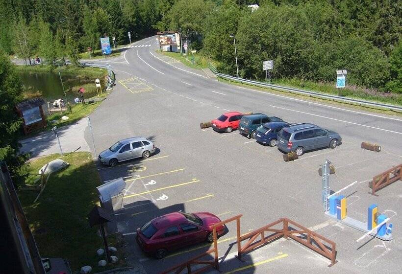 Отель Penzion Pleso