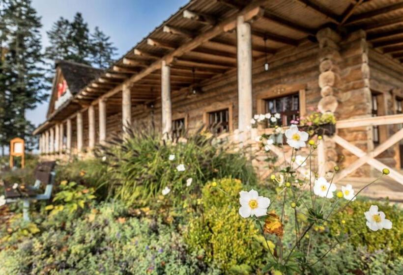 فندق Picaro Stok