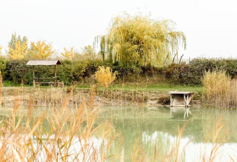 Отель Plauter Kúria