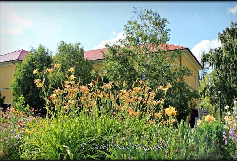 Отель Plauter Kúria