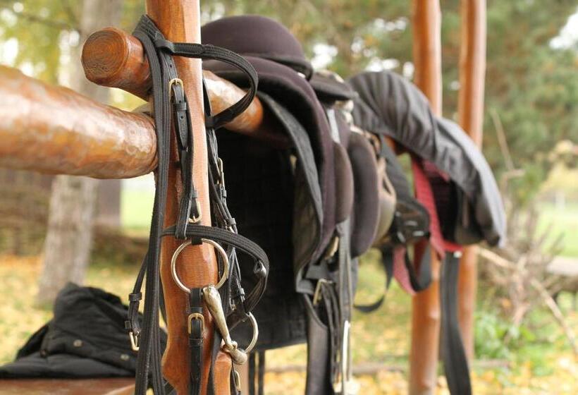 Отель Plauter Kúria