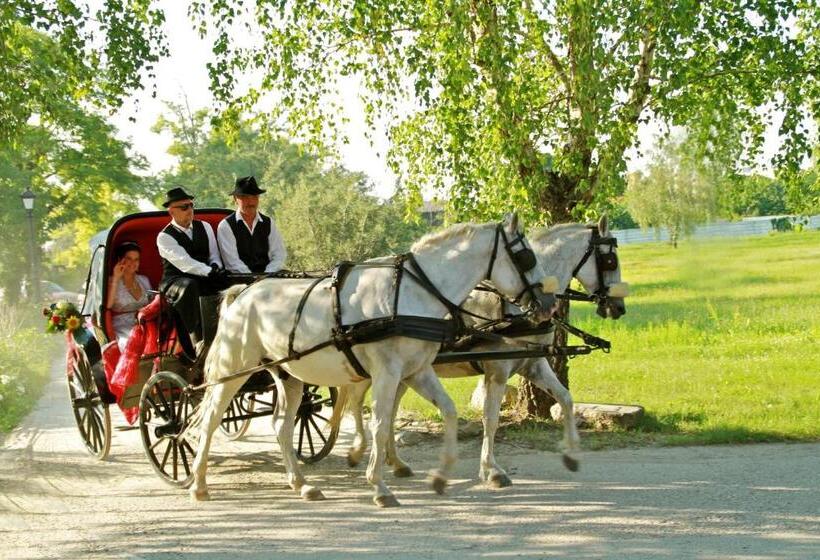 Отель Plauter Kúria