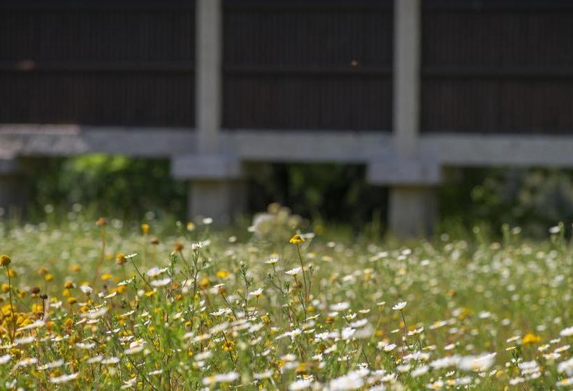 Отель Quinta Do Fontelo