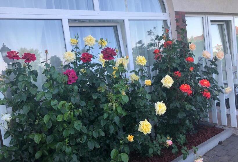 בית מלון כפרי Rezydencja Lux