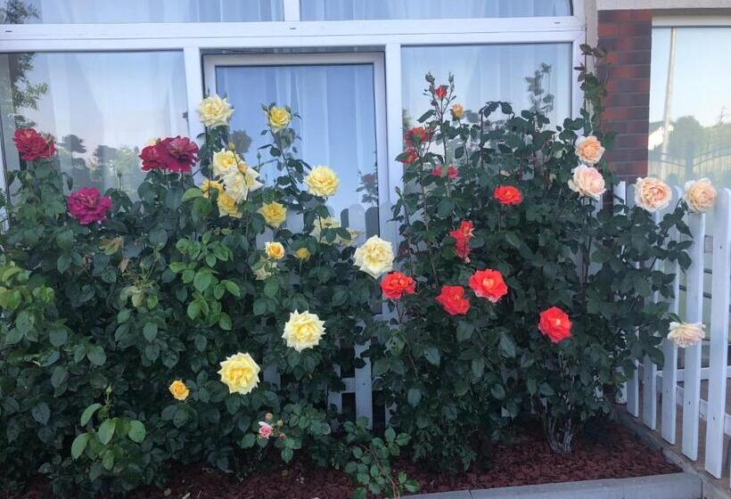 ホテル Rezydencja Lux