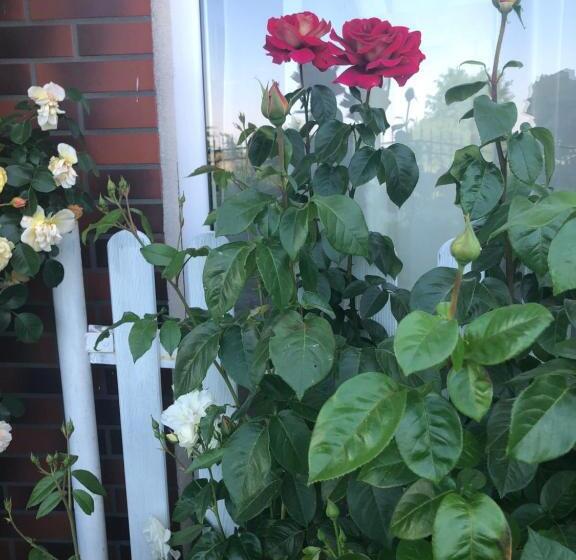 בית מלון כפרי Rezydencja Lux