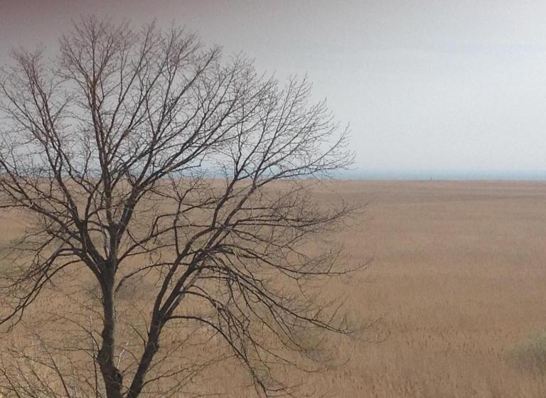 בית מלון כפרי Rezydencja Lux