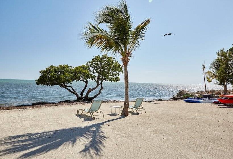 فندق Seascape Resort & Marina