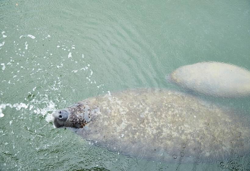 فندق Seascape Resort & Marina