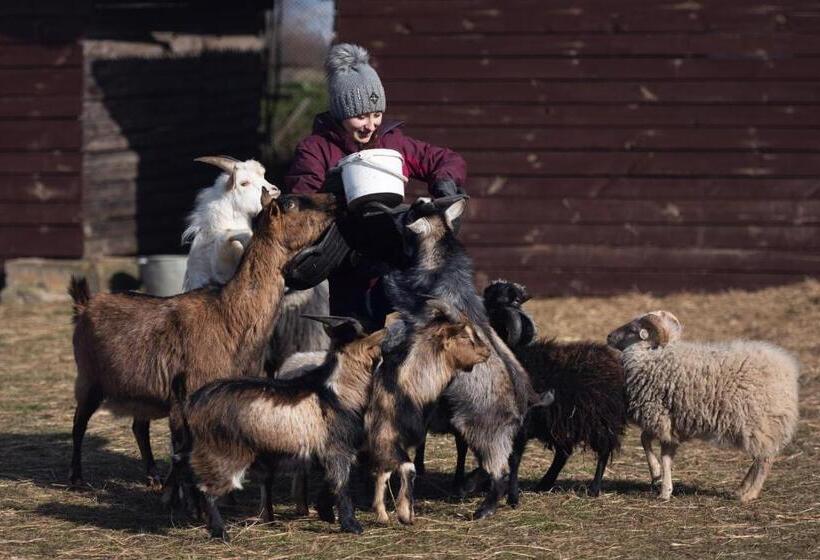 בית מלון כפרי Sielanka Nad Pilicą