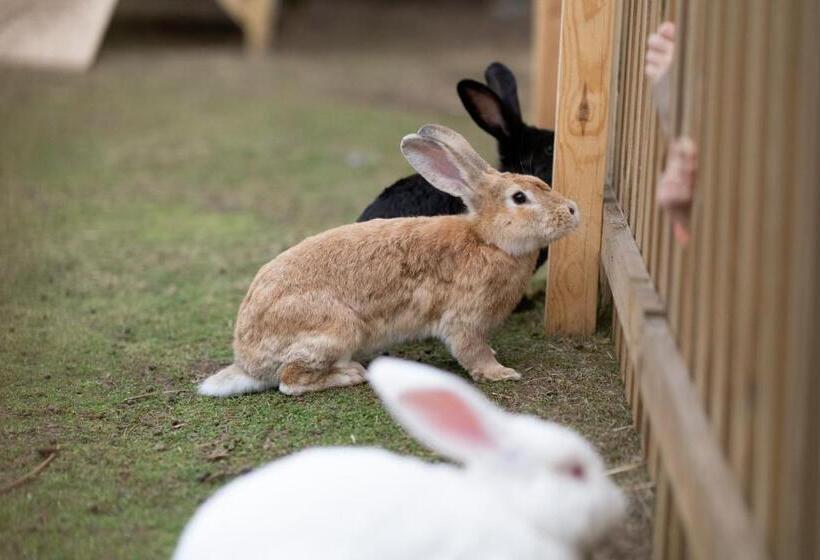 בית מלון כפרי Sielanka Nad Pilicą