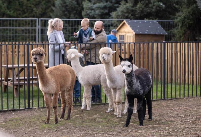 בית מלון כפרי Sielanka Nad Pilicą
