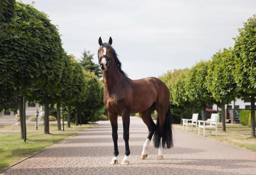 בית מלון כפרי Sielanka Nad Pilicą