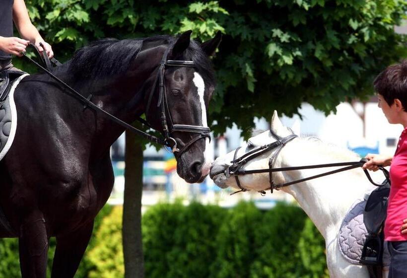 בית מלון כפרי Sielanka Nad Pilicą