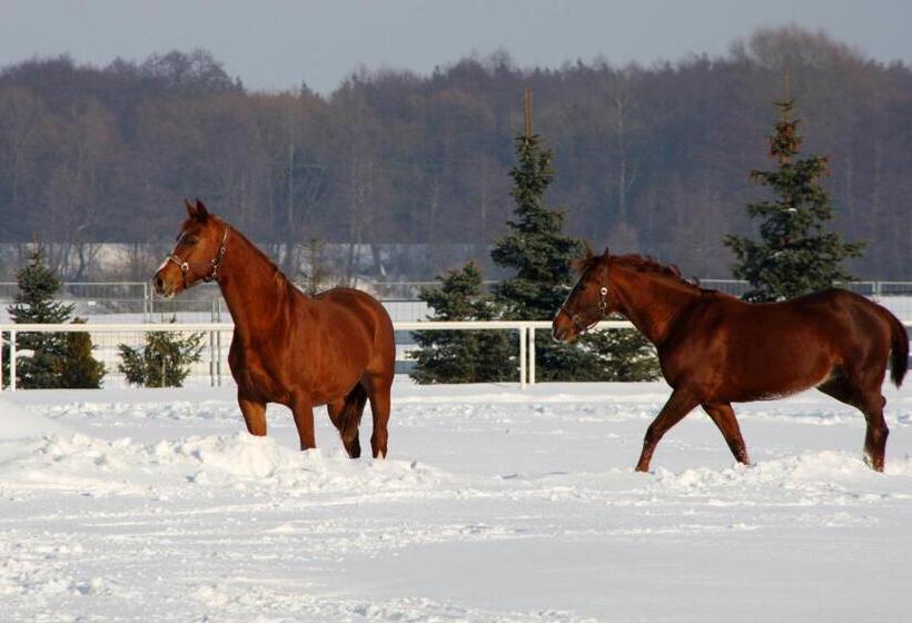 בית מלון כפרי Sielanka Nad Pilicą