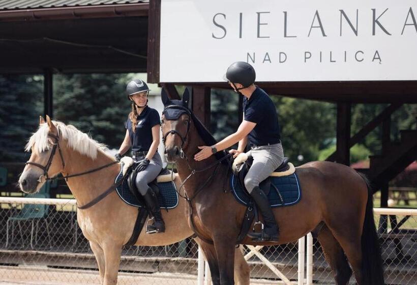 בית מלון כפרי Sielanka Nad Pilicą