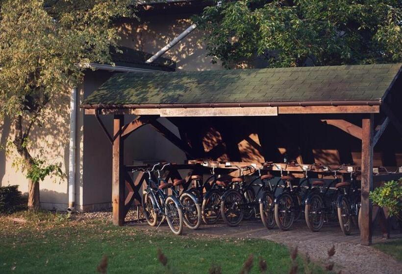 בית מלון כפרי Sielanka Nad Pilicą