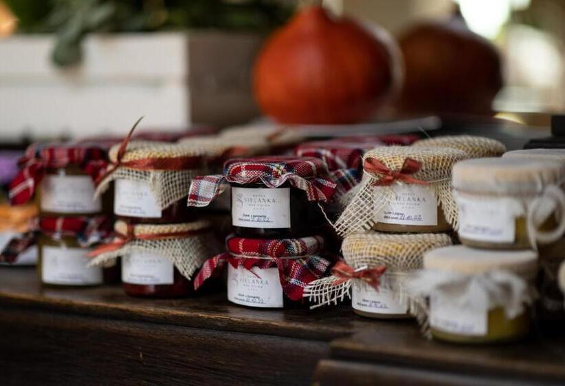 בית מלון כפרי Sielanka Nad Pilicą