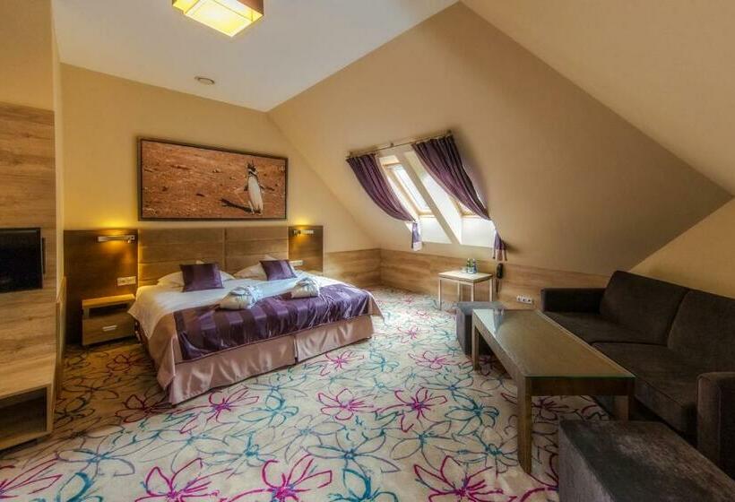 בית מלון כפרי & Spa Czarny Groń