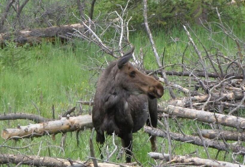 فندق Stoney River Lodge