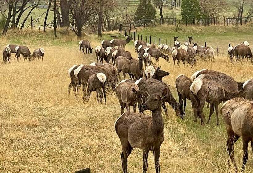 酒店 Stoney River Lodge