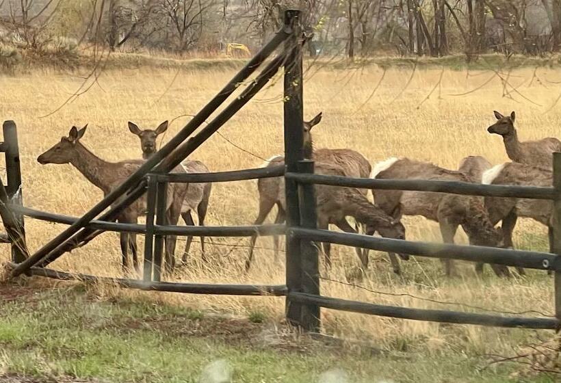 فندق Stoney River Lodge