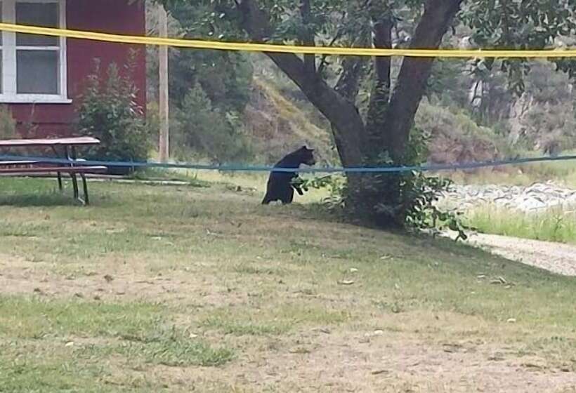 酒店 Stoney River Lodge