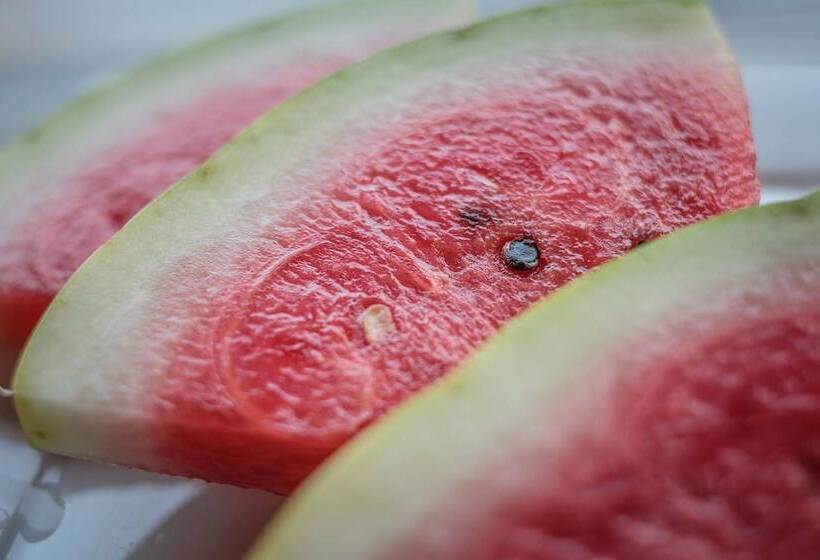 ホテル Teacher S House