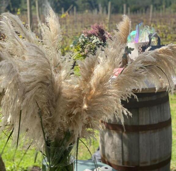 Отель Mali Boutique Lodge & Tube  N Axe Budget Accommodation