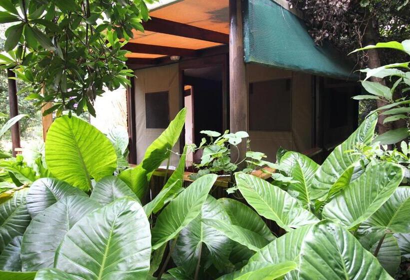 Отель Mali Boutique Lodge & Tube  N Axe Budget Accommodation