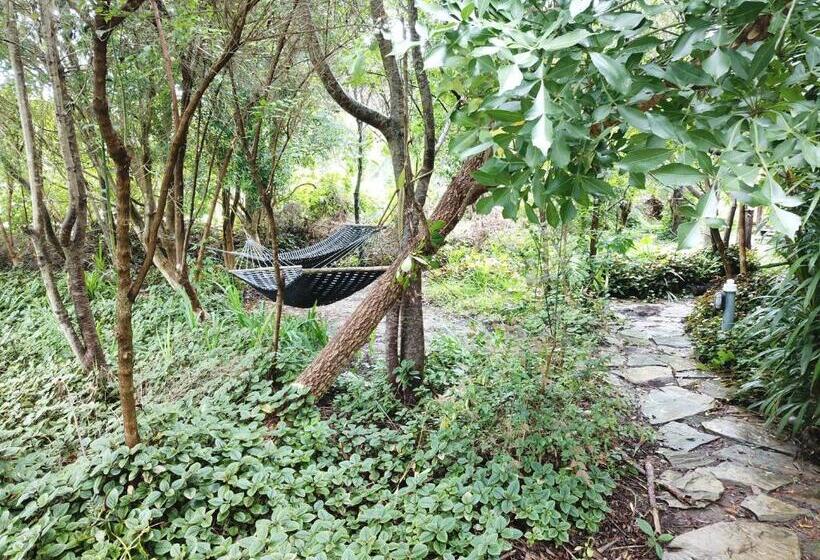 Отель Mali Boutique Lodge & Tube  N Axe Budget Accommodation