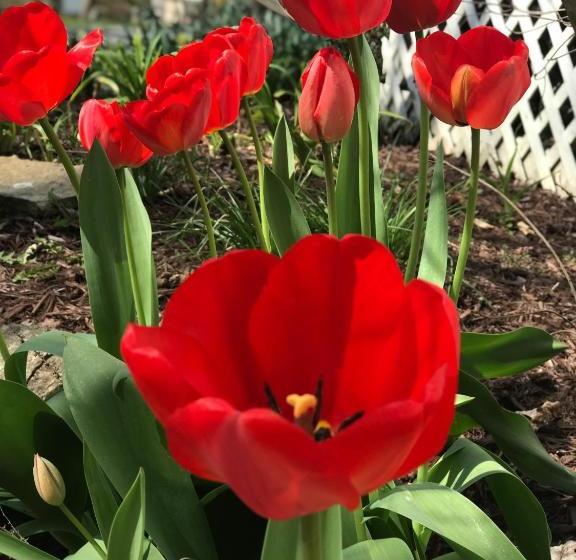 فندق Valle Crucis Farm