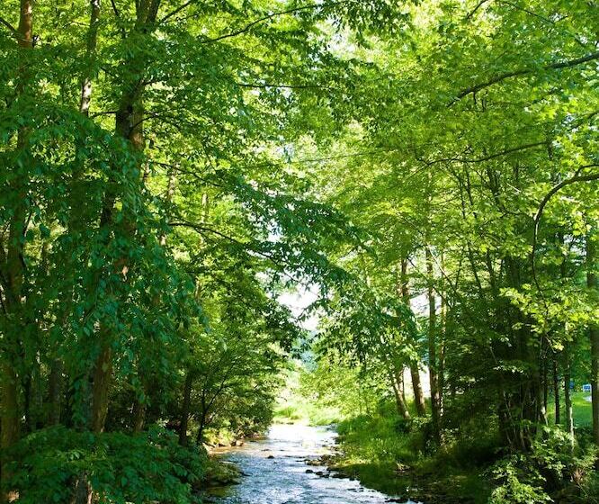 فندق Valle Crucis Farm