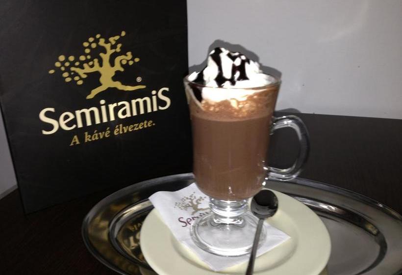 酒店 Villa City Center Hévíz