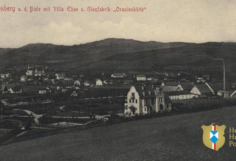 هتل Villa Elise Park Pension