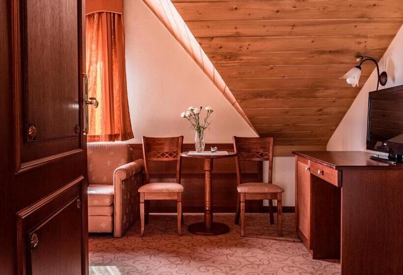 هتل Villa Magnat Spa, Jacuzzi, Sauna, Tężnia Solankowa