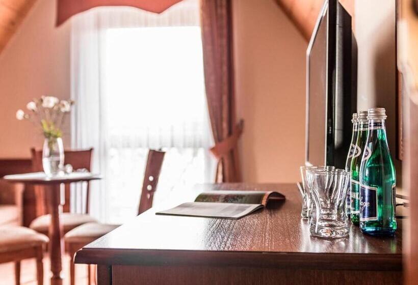 هتل Villa Magnat Spa, Jacuzzi, Sauna, Tężnia Solankowa