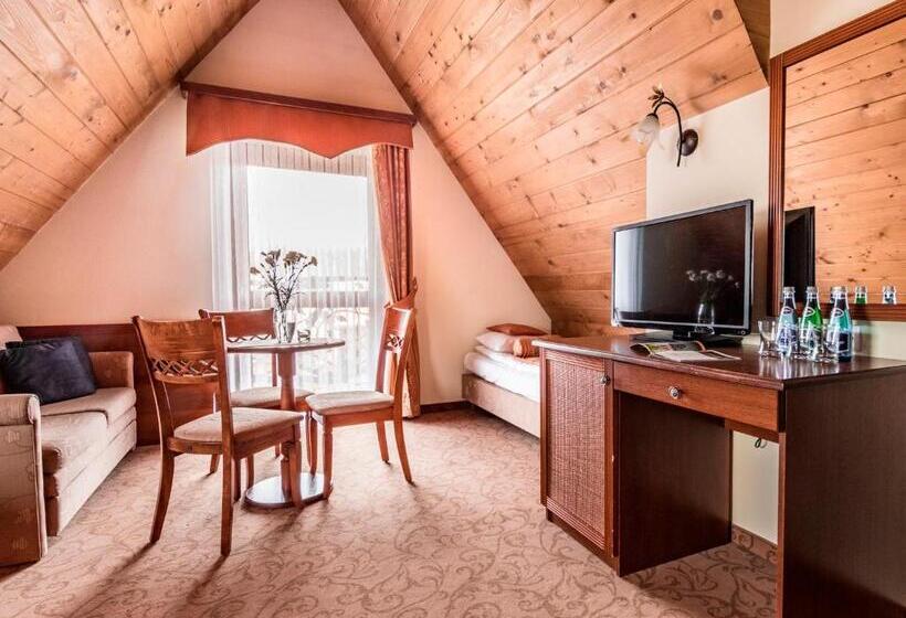 هتل Villa Magnat Spa, Jacuzzi, Sauna, Tężnia Solankowa