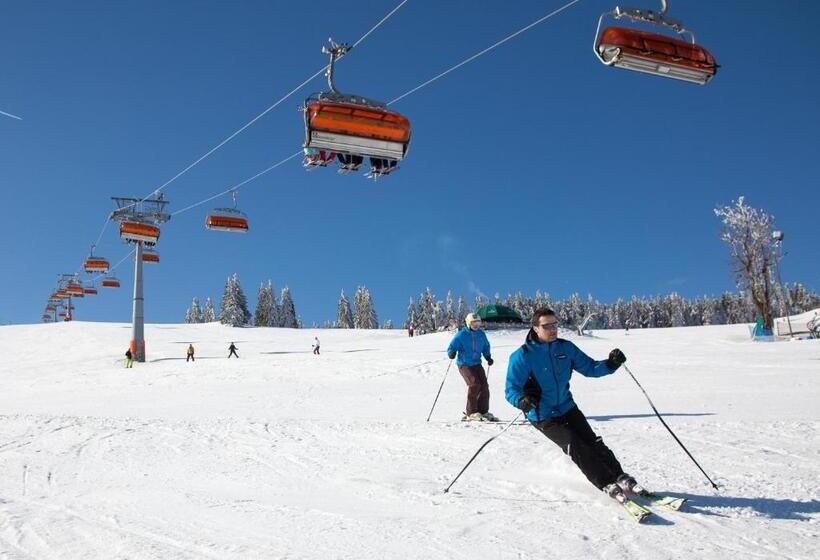 בית מלון כפרי Vital&spa Resort Szarotka