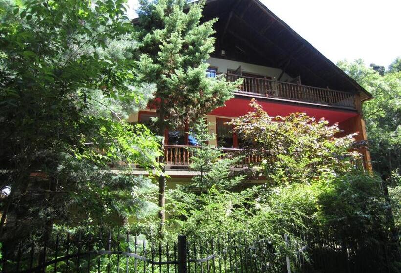 هتل Willa M Cisza W Centrum Miasta