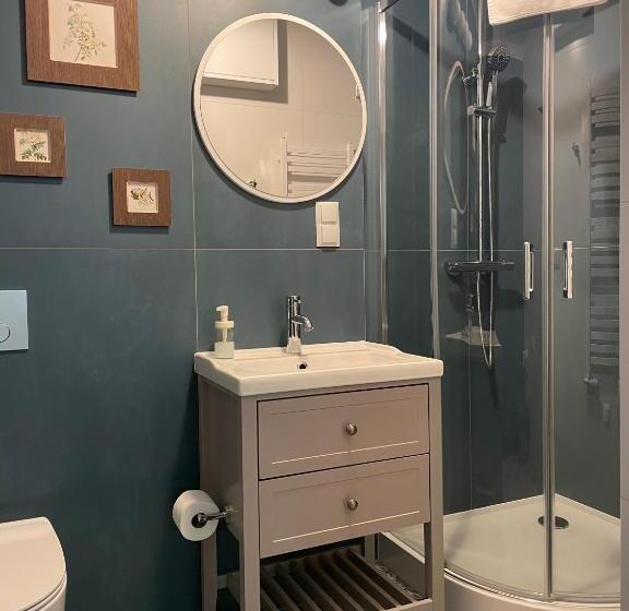 فندق Willa Marysin Bukowina Tatrzańska